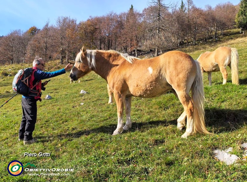 46 Anch'io lo accarezzo.jpg